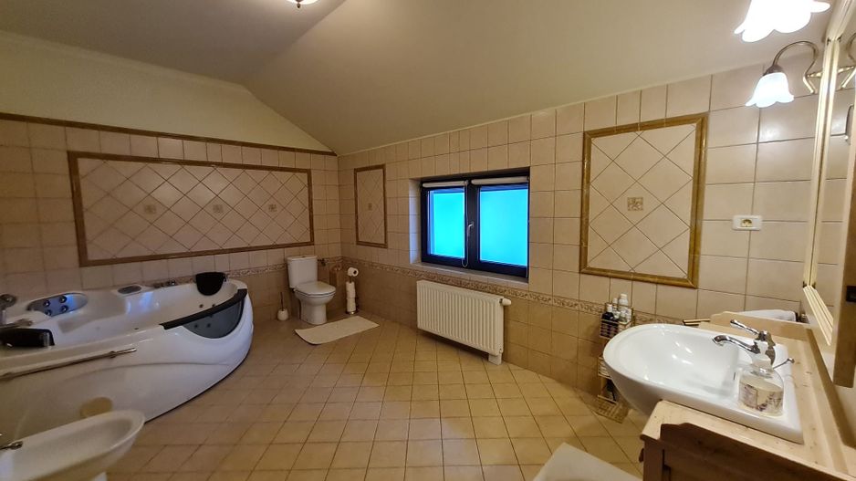 Poziție de top în Dumbravita - Poză 11