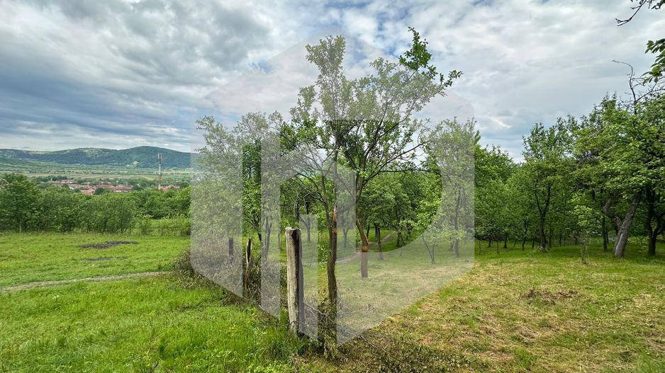 Intravilan | Teren de vanzare |  Turnu Rosu | 1742mp | Jud. Sibiu - Poză 4