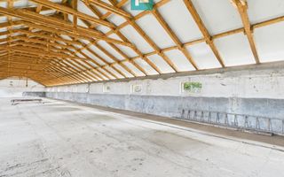 Hală pentru producție / fermă zootehnică  - Variaș - Poză 12