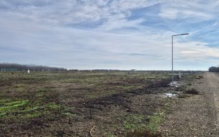 Loturi de teren 638 mp - curent tras la teren - Crevedia - Poză 2