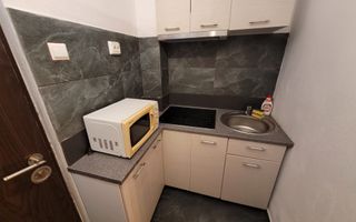 Garsoniera de inchiriat, Vasile Aaron - Poză 9