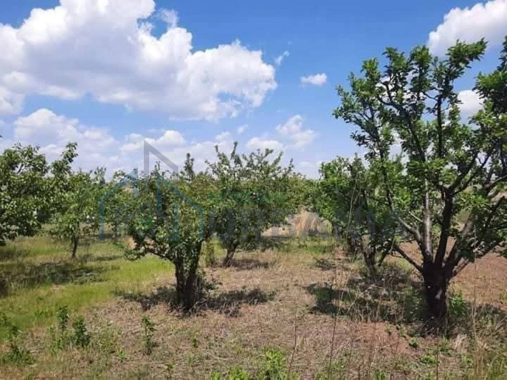 Teren de 3.360 mp în Comuna Holboca, zonă rezidențială nouă, cu utilități la 50 m - Poză 3