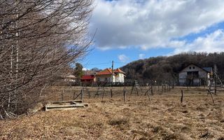 Teren Cicanesti Arges, la 10 KM de Transfagarasan - Comision 0% - Poză 2