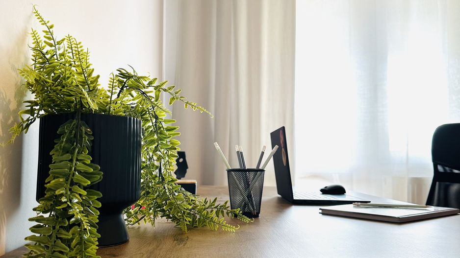 Oferta Inchiriata - Casa Segmentul Premium, 180 mp | Garaj&Gradina | Fropin - Poză 30