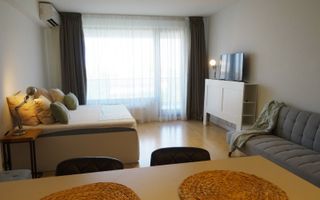 Studio Iancu Nicolae 133-Residence 5 - Poză 3