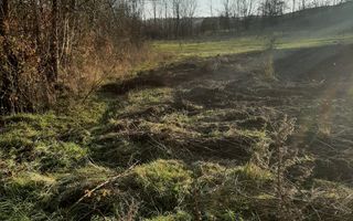 Teren intravilan în Ususău - Poză 3