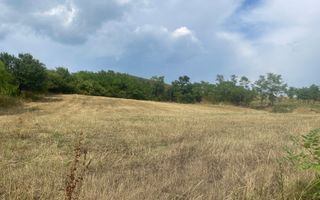 Teren Intravilan Constructrii 2258mp - Gadalin - Poză 4