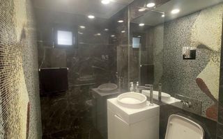 Vila de inchiariat in Herastrau \ Villas Rent in Herastrau area. - Poză 14