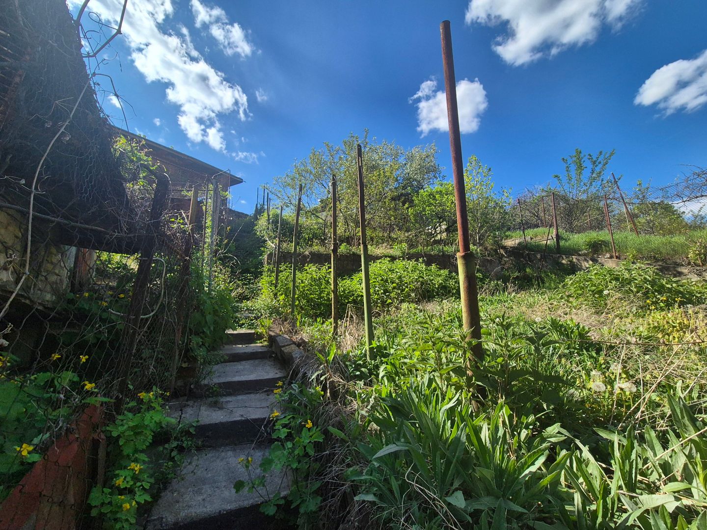 Casa langa Gradina Zoologica - Poză 8