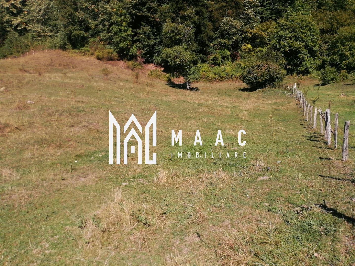 Teren Extravilan 20.000Mp I Stoenești -Vâlcea I Apă Curentă și Pădure - Poză 3