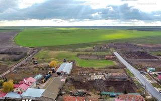 Vanzare ferma agricola Negru Voda - Constanta cu 240 hectare teren si utilaje - Poză 4