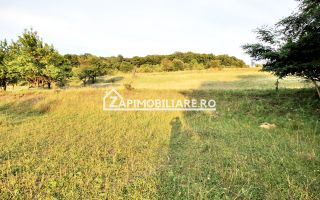 Teren Intravilan,5.000mp cu utilităti si proiect casă 12e mp - Poză 5