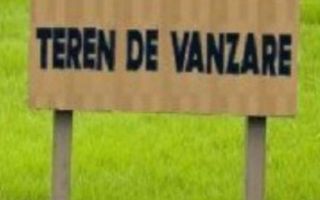 Sacalaz-Teren Intravilan-2 Fronturi Stradale - Poză 1