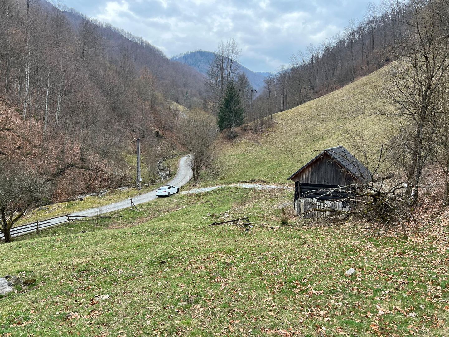 Teren intravilan 1.28ha Remeti–perfect pensiune/cabane, zonă turistica - Poză 2
