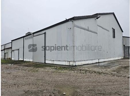 Proprietate industrială  Platformă logistică de vânzare în Tinca - Poză 3