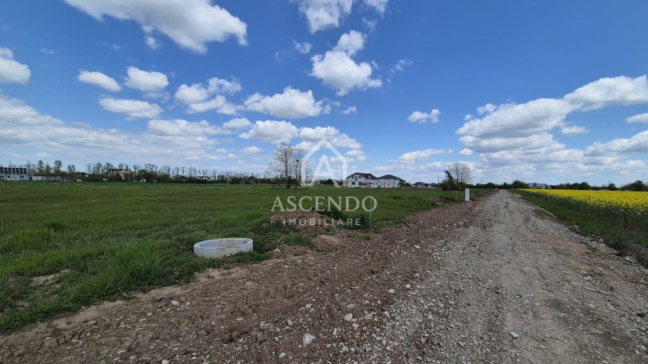 Teren intravilan 704 mp – Siliștea Snagovului | Lângă Pădurea Snagov - Poză 2