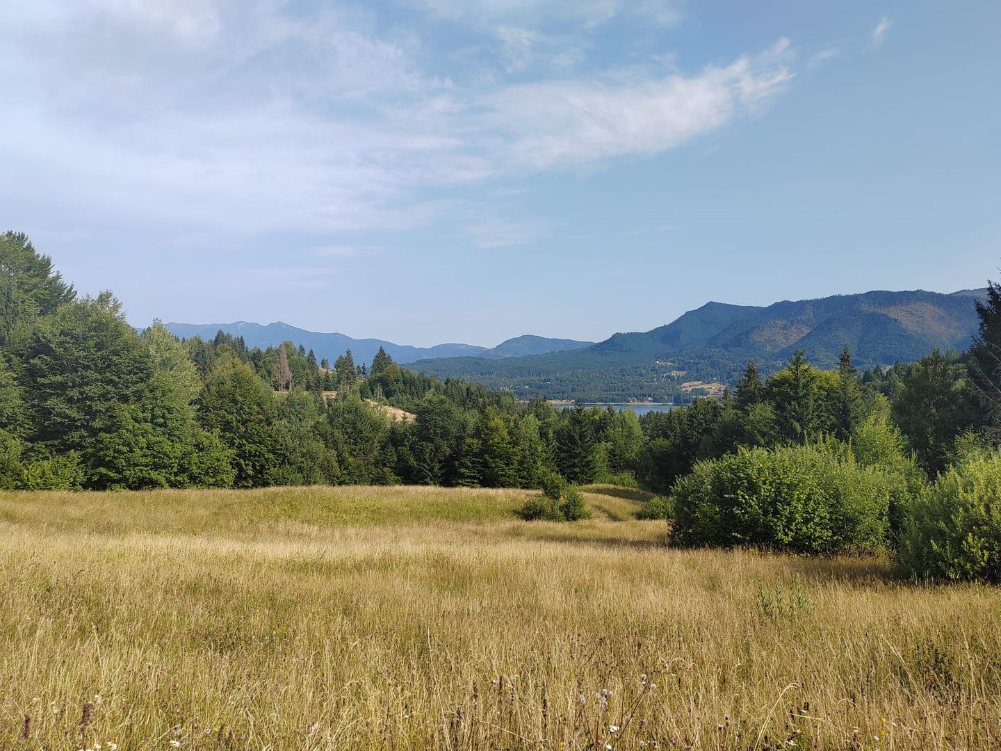 teren Colibita - 2 hectare - acces direct din drumul 173 D - Poză 4