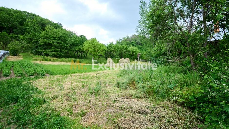 Casa cu teren generos - 4696 mp Apa Sarata - Campulung !! - Poză 10