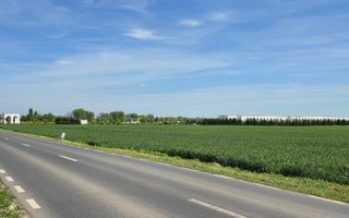 Teren 33.211 mp Tunari – ideal logistică, showroom sau producție - Poză 3
