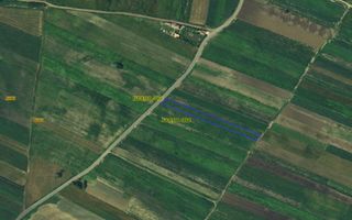 Teren intravilan – 2.500 mp | Jucu de Mijloc - Poză 1