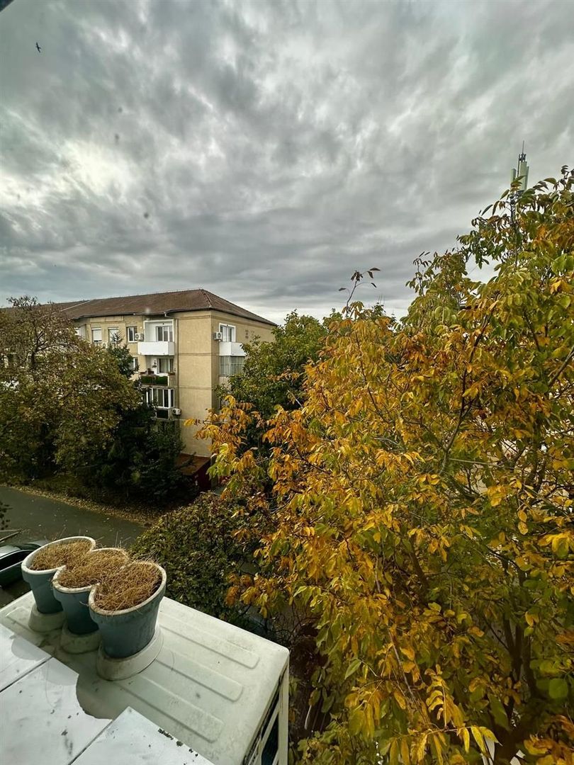 Garsoniera etaj 3 Aluminei - Poză 3