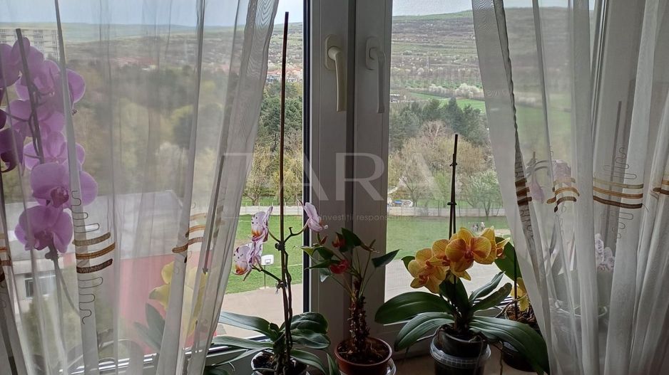 EXCLUSIVITATE. Zona Transylvania College, Iulius Mall. - Poză 2