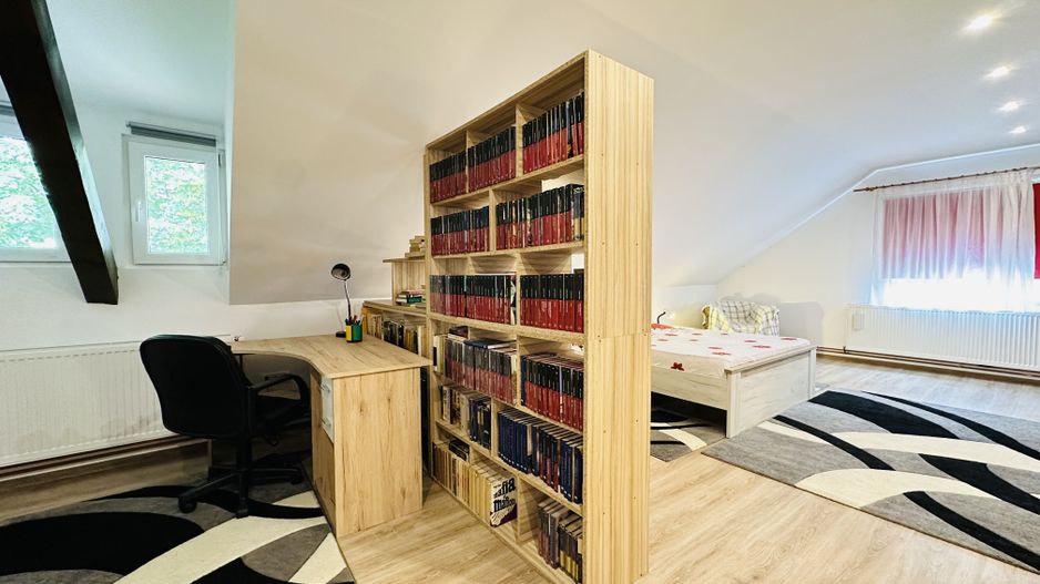 Apartament spatios cu 2 camere, in Vila apartamentata - Take Ionescu - Poză 4