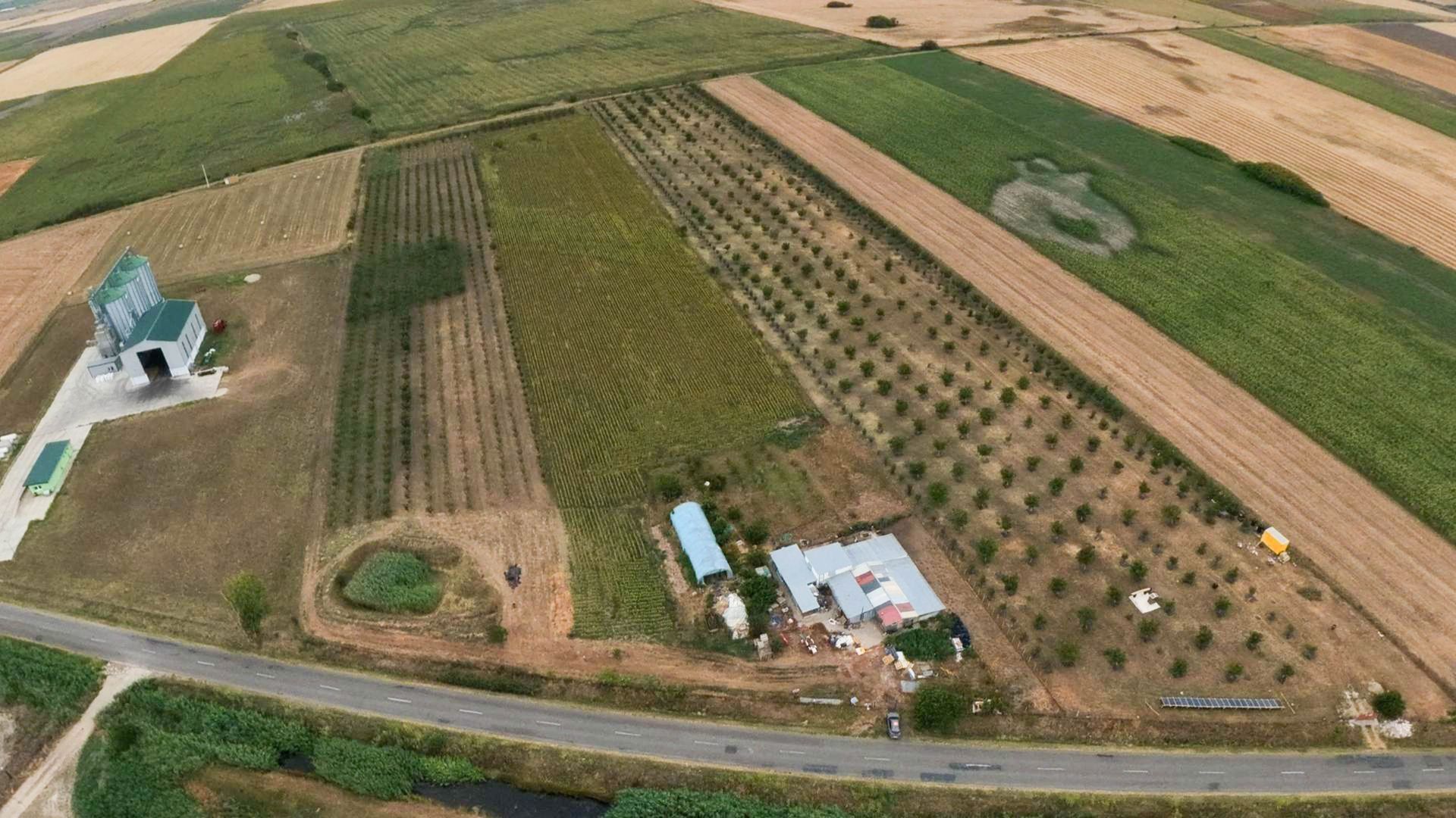 Livadă de 3,6 hectare în Iratoșu – Oportunitate - Poză 4