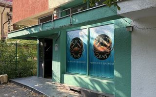 Inchiriere spatiu comercial in Baneasa - 56mp Parter - Poză 10