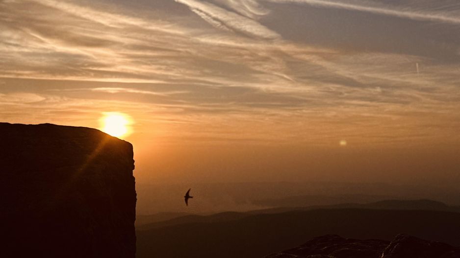 Un teren de vis cu deschidere la Lacul Trei Ape, Brebu Nou | Com 0% - Poză 10