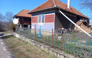 Două case de vânzare – Cerisor – teren generos 6996 mp