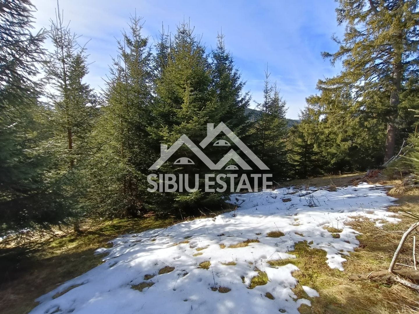 Teren de vânzare în zona montană a județului Alba - Poză 6