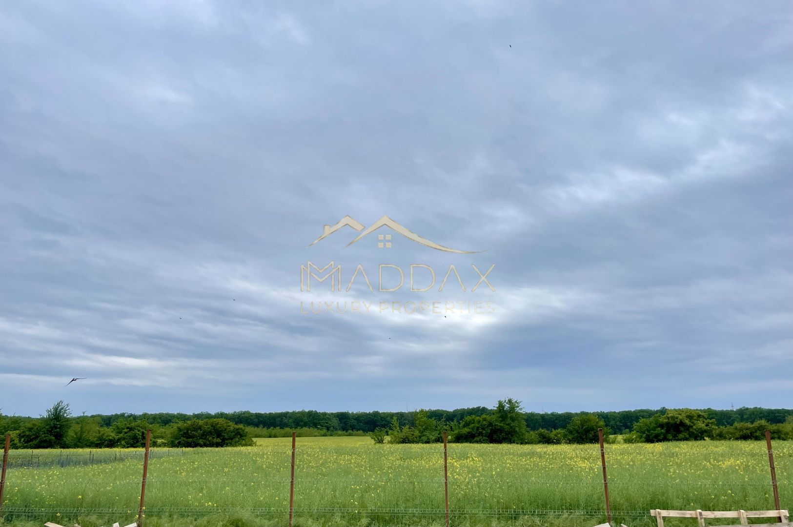 Vila exclusivista_P+1*5 Camere*Teren 704 mp*Langa Padure//Balotesti - Poză 46