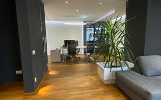 Spatiu de birouri  219mp utili , mobilat complet, Sibiu, D. Stanca - Poză 4