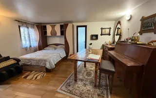 Casă/Vilă de vânzare în comuna Târgu Trotuș, județul Bacău. - Poză 33