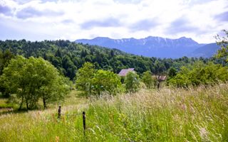 Teren intravilan - 1.050 mp în Bran cu utilitati – priveliște Bucegi - Poză 3