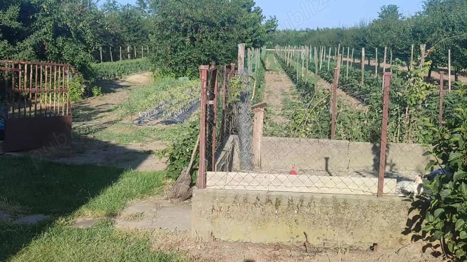 Casa de vanzare in Ungaria aproape de granita - Poză 5