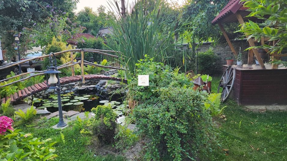 Vila Horezu Romanii de Jos - Poză 57