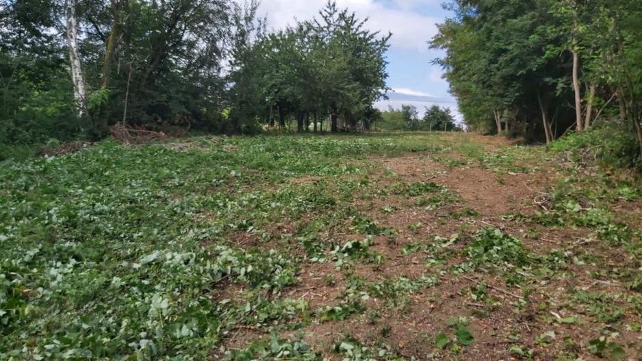 Teren zona montana in com.Turcinesti Jud.Gorj - Poză 2
