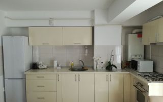 Apartament 2 camere, Nicolina – Lidl | 44,7 mp | Etaj 1 | 115.000 € - Poză 2