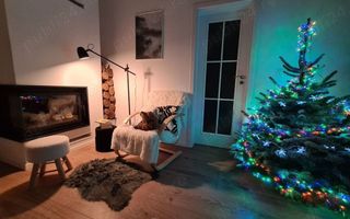 Apart deosebit pe malul Begai - Poză 9