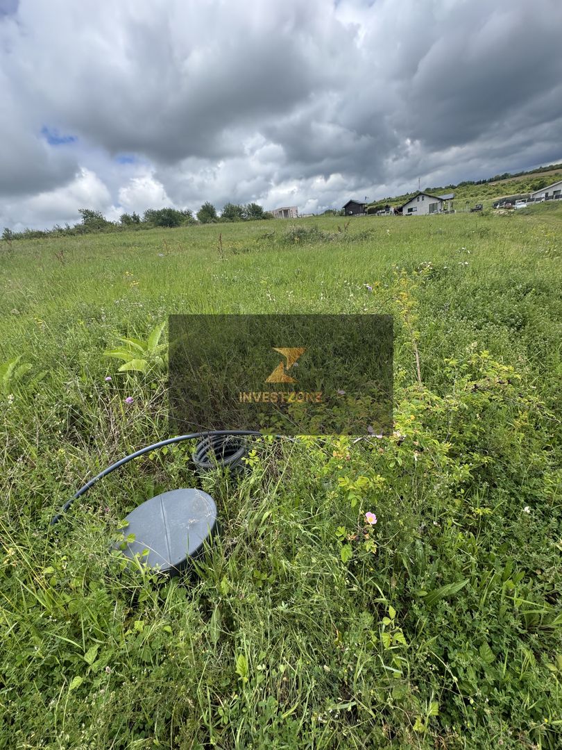 Teren intravilan Dealul Lavandei din Beldiceanu spre Săldăbagiu - Poză 5