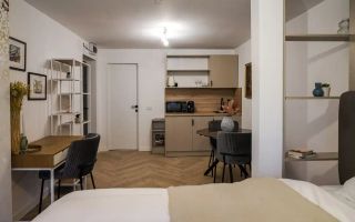 Proprietate ideala pentru investitie *354mp* inchirata pe 6 ani // Cismigiu - Poză 74