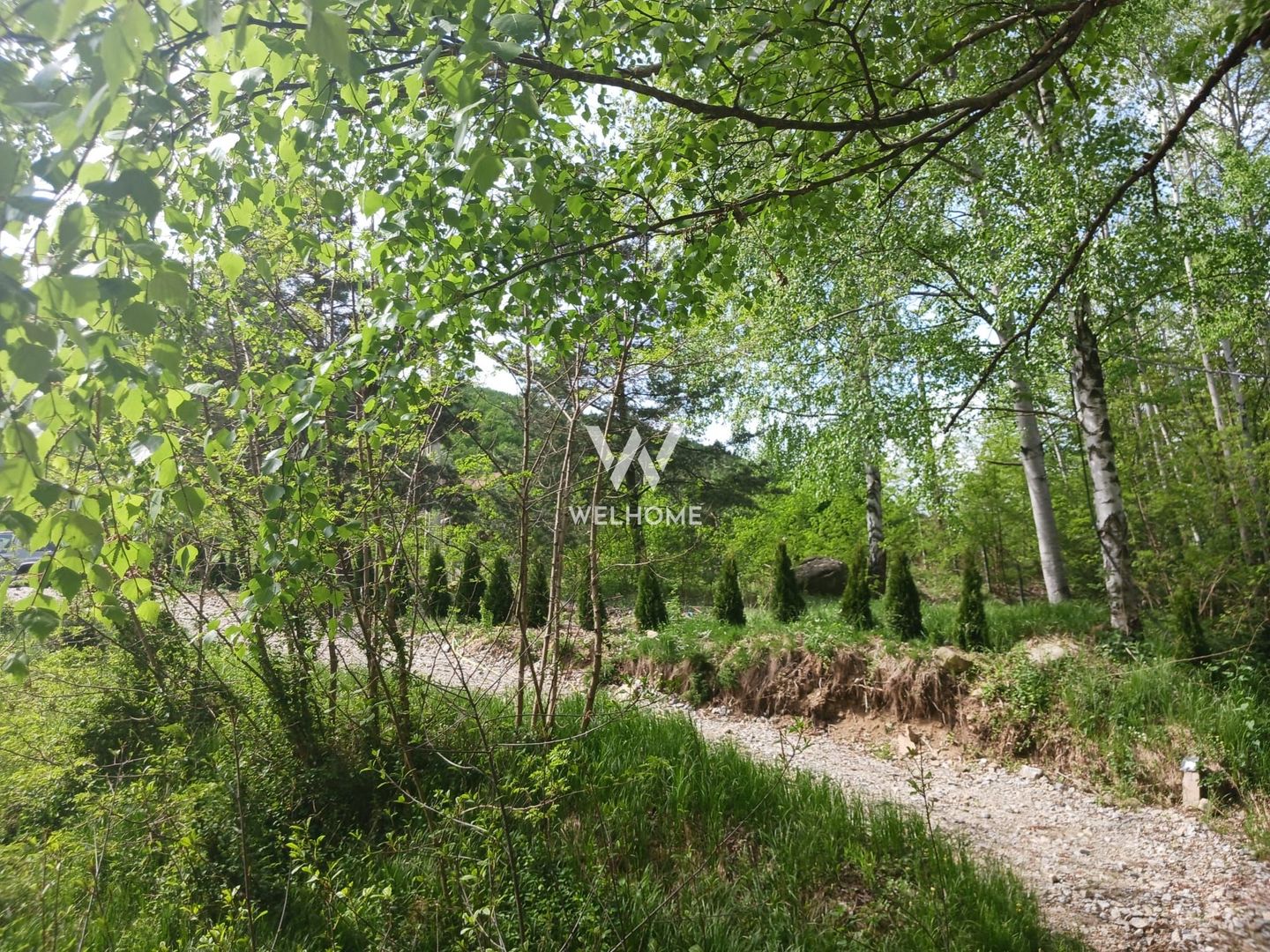 Teren pentru cabana, Marajdie deschidere la rau Gura Raului Sibiu - Poză 2