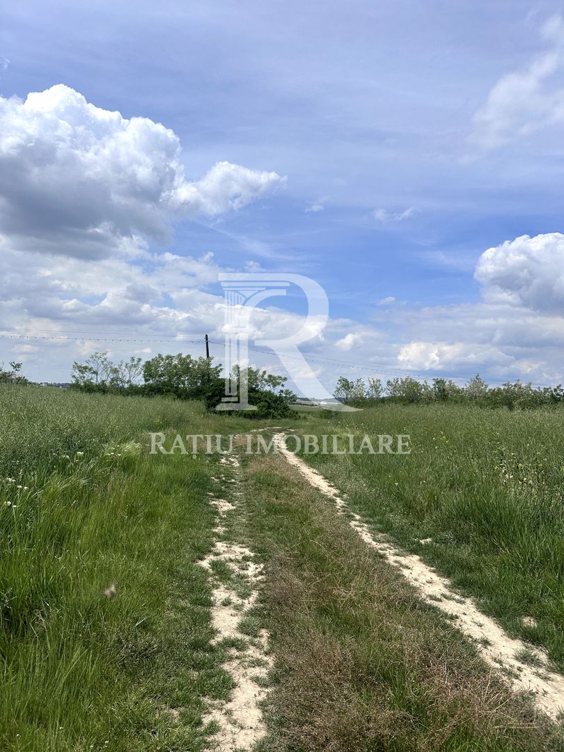 Teren Extravilan | Oportunitate de investiție | Bihor - Poză 2