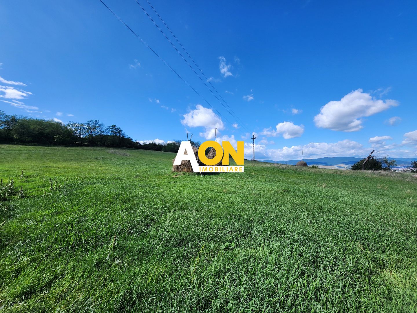 De vanzare 2965 mp teren intravilan, toate utilitatile, Oarda de Sus - Poză 6