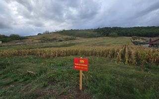 Teren Intravilan 5650mp Hapria, la Drum Principal - Poză 2