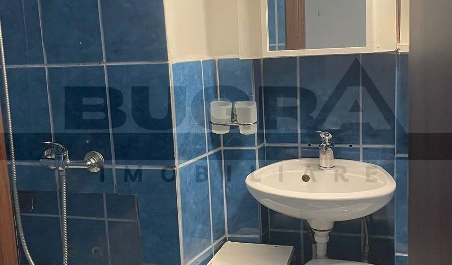 Apartament 2 camere,  30 mp, zona Albac - Poză 11