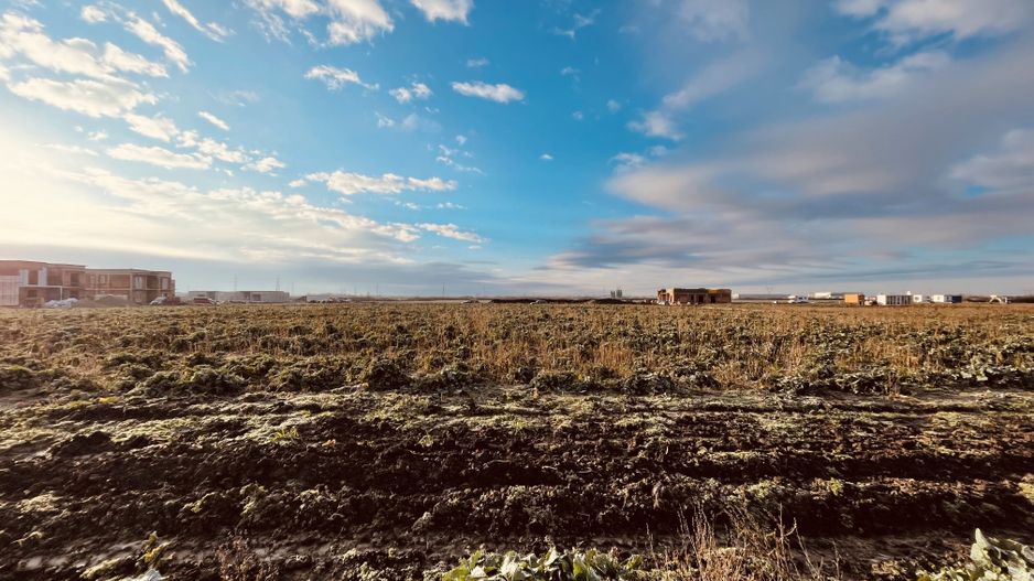 Teren pentru Casa | Covaci - 723 mp | Predare cu utilitati si asfalt - Poză 2