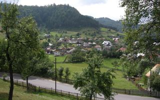 Teren intravilan 3214 mp în Rucăr cu deschidere 56 m în DN73 - Poză 3